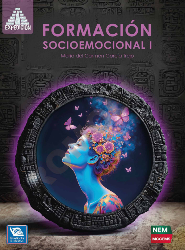 Formación Socioemocional 1