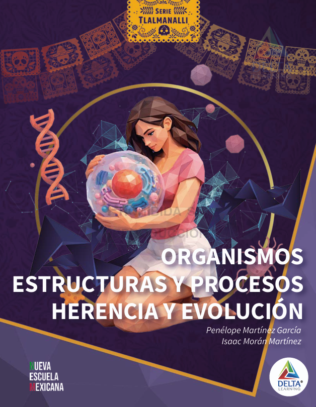 Organismos, Estructuras y Procesos