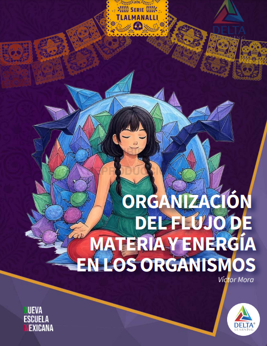 Organización del Flujo de Materia y Energía