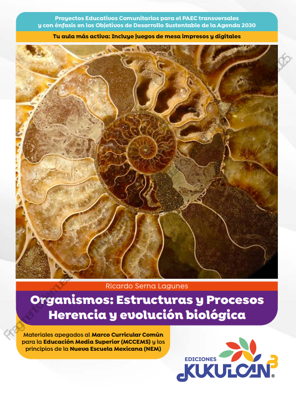 Conciencia Historica 1