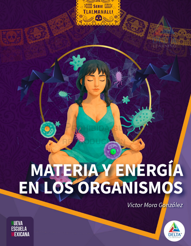 Materia y Energía en los Organismos